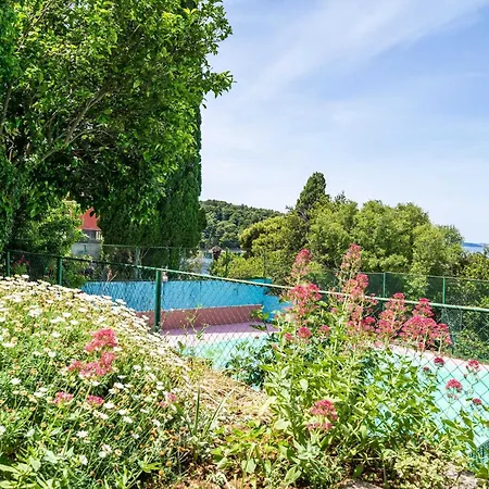 & Mara & Petrunjela - With Balcony And Sea View Appartement Cavtat